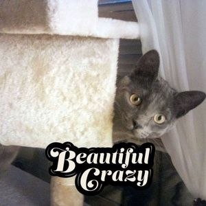 Meet your Posher, Marsha